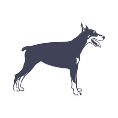 Doberman Dog logo design vector. Template Illustration. Icon Symbol