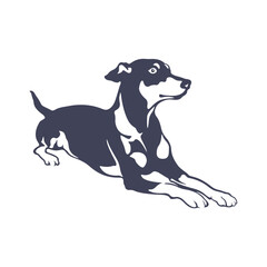 Doberman Dog logo design vector. Template Illustration. Icon Symbol