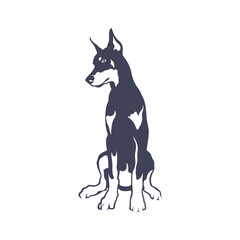 Doberman Dog logo design vector. Template Illustration. Icon Symbol