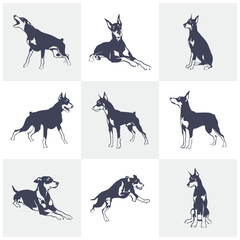 Set of Doberman Dog logo design vector. Template Illustration. Icon Symbol