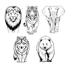 Types of Wild Animals Hand Drawn Sketch in one Picture, on a Transparent Isolated PNG Background