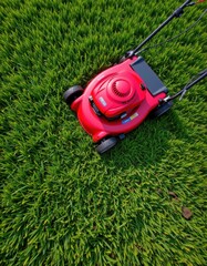 Mowing action on lush grass residential yard photography outdoor aerial view lawn care concept