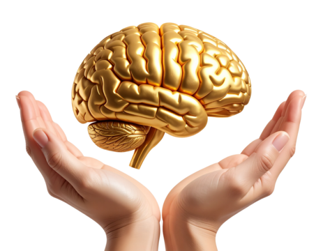 Golden Glowing Brain Floating Above Human Hands, mystical illustration, transparent background