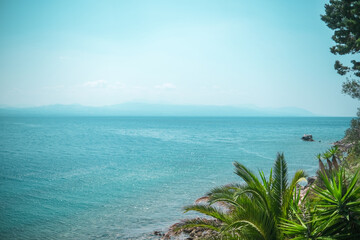 Coastal view with palm trees and turquoise sea in Greece