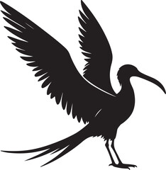 Fototapeta premium A silhouette frigate bird vector