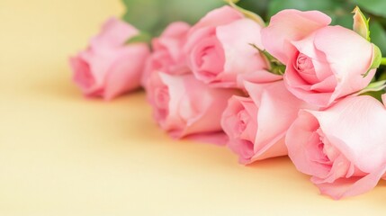 Fototapeta premium Beautiful pink roses arranged gracefully on a pale yellow background