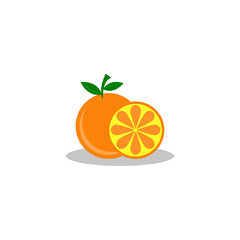 Fresh Orange Fruit Vector Illustration