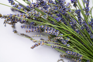 Purple lavender flowers with leaves on white background top view flat lay. Beautiful fragrant twigs...