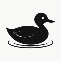 duck on white background
