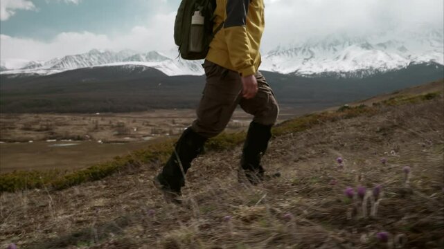 Close up side view of male trekker walking uphill on slope with spring flowers, on the background of mountain valley and river with snow capped ridge in distance, cloudy day