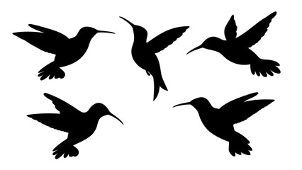 humming bird silhouette vector illustration on tranparent background