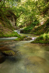 Obraz premium 新緑の中を流れる南会津の湯ノ岐川