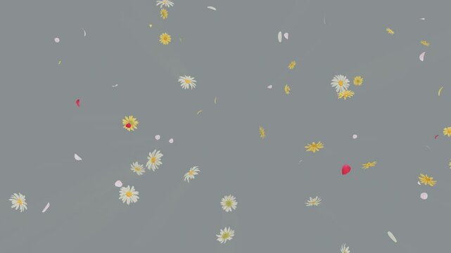 Burst of summer flowers flying outward on alpha with soft colorful petals