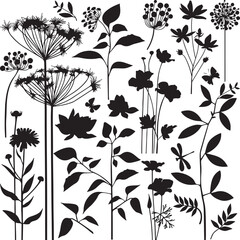 Botanical, Silhouette, Leaves, Nature, Plants, Garden Vector