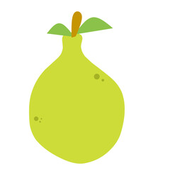 fresh fruit and vegetable illustration icon