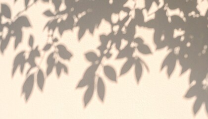 tree leaf branches shadow background