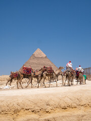 Africa, Egypt, Cairo city, Giza, Giza pyramids. Three pyramids, sphinx, statue, saqqara pyramid,...
