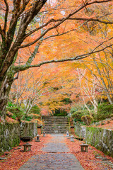 秋の両子寺　大分県国東市　Futagoji temple in autumn. Ooita Pref, Kunisaki City.