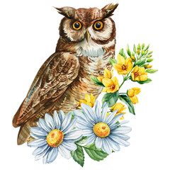 Brown owl with yellow flowers and chamomile watercolor illustration for spring woodland decor nursery prints and nature designs