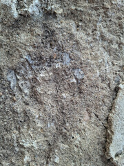 Concrete cement material grunge surface texture background