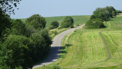 Curved country road through green fields