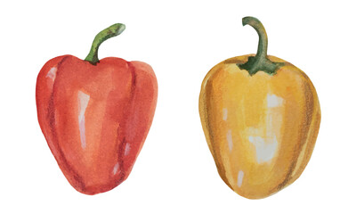 Yellow and Orange Bell Pepper Set. Hand Drawn Watercolor Vector Vegetables