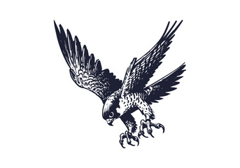 Peregrine Falcon hand drawn sketch vector illustration