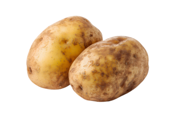 4k fresh potatoes on white background transparent, isolated, dicut
