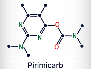 Pirimicarb molecule. Carbamate insecticide used in agriculture to control aphids. Vector illustration