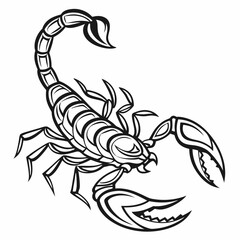 Stylized Black and White Scorpion Illustration, Detailed Line Art Design