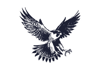 Peregrine Falcon hand drawn sketch vector illustration