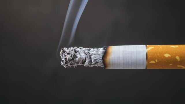 Smoking cigarette burn and ash progression in slow motion closeup