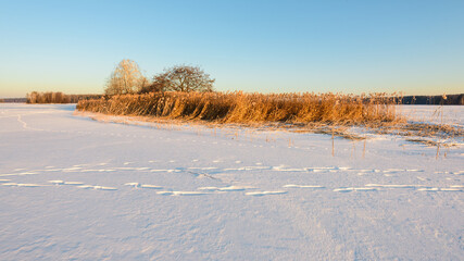 Snow-Covered Island on a Frozen Forest Lake. Wide-Angle Panorama.