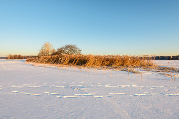 Snow-Covered Island on a Frozen Forest Lake.