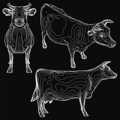 Three black and white cows sketched in intricate detail, each with unique shapes and textures. The stark black background contrasts sharply with the white outlines, emphasizing their distinct forms.