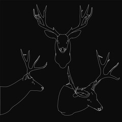 Three deer heads with antlers stand out against a black background, outlined in white for a striking contrast. The minimalist design highlights their elegant silhouettes and natural symmetry.