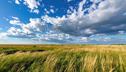 Obraz premium Vast Grassland Under Dramatic Sky
