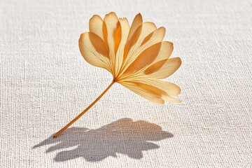 Single Petal Crown Casting a Delicate Shadow on Natural Linen Fabric in Soft Natural Light