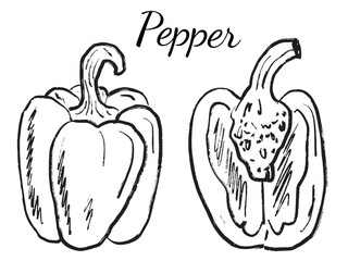 Sweet bell pepper whole and half sliced in black brush stroke texture isolated on white. Hand drawn vector sketch illustration in vintage charcoal ink. Tasty vegetable design, salad ingredient