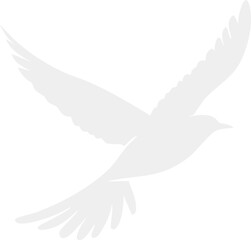 Obraz premium dove of peace
