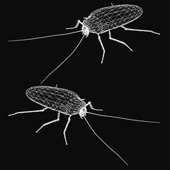 Two cockroaches stand on a black background, their wireframe-like exoskeletons sharply contrasting with the dark surface. The detailed texture of their segmented bodies and long antennae is clearly.