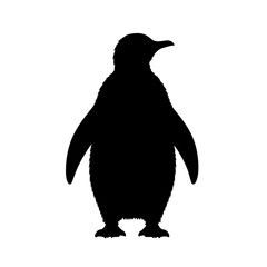 Fototapeta premium Standing Black Penguin Silhouette Isolated on Transparent Background - Antarctic Animal