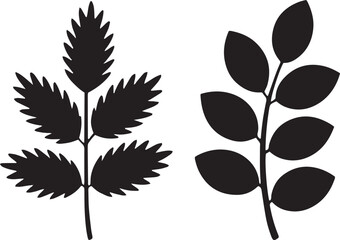 leaf, plant, green, nature, foliage, silhouette, organic, outline, tree, botanical, garden, eco, environment, flora, autumn, fresh, natural, flat, design, shape,