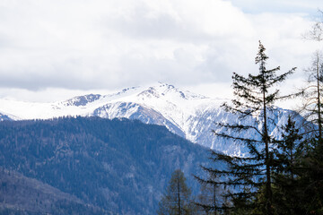 Snow-Covered Alpine Peaks Behind Forest Trees near Chur, Switzerland