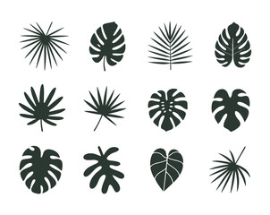 Twelve Dark Green Tropical Leaf Silhouettes Set Botanical Illustration White Background