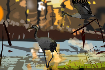 Illustration of common cranes at a lake during sunset
