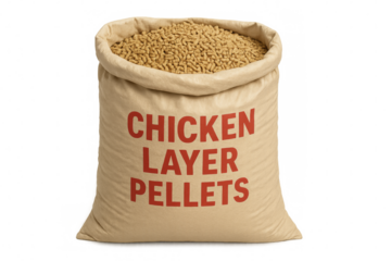 Full bag of chicken layer pellets on transparent background