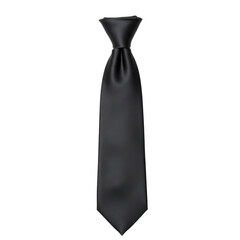 Sleek black necktie displayed vertically against a transparent background.