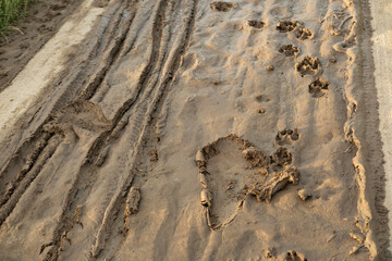 Footprint and tire track left in soft mud, Traces on muddy path, Evidence passage on natural trail, Adventure begins, rural Textured mud, outdoor activity