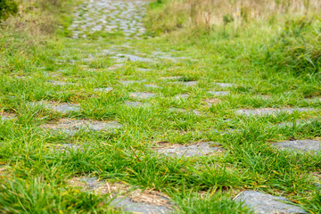 old granite cobblestone roman road goes through germany, classic stone craftsmanship underfoot, traditional medieval path, heritage stonework, antique road
